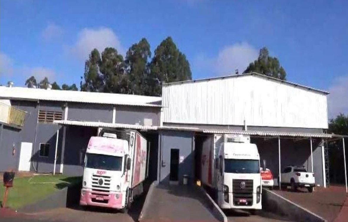 Frigorifico Suino 07