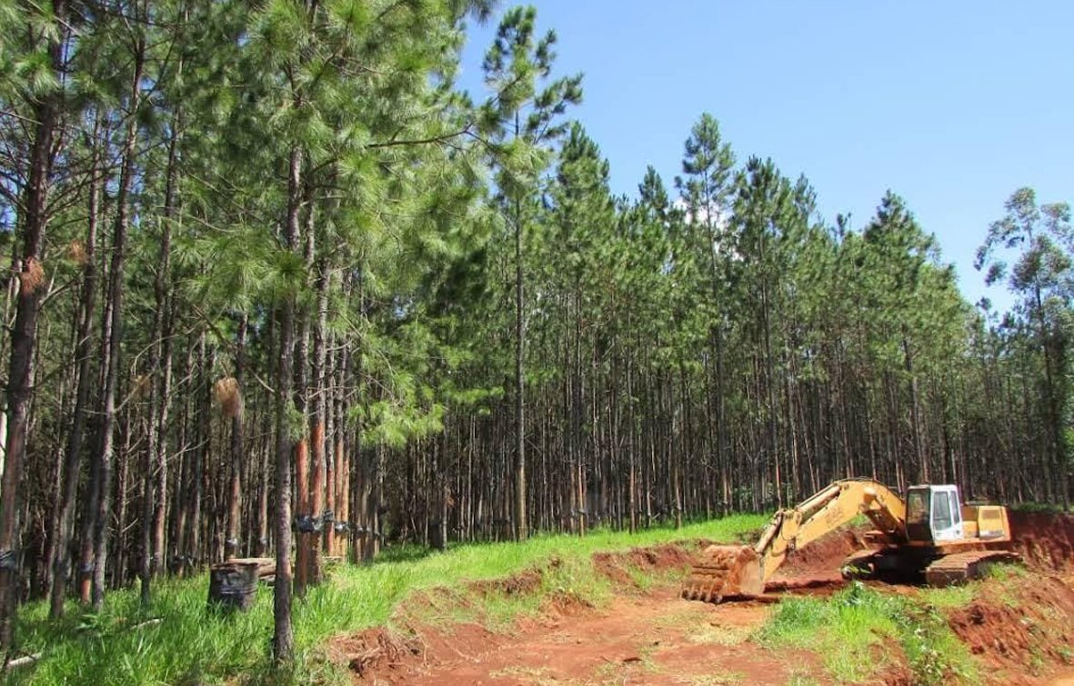 Pedreira em Itaporanga 20