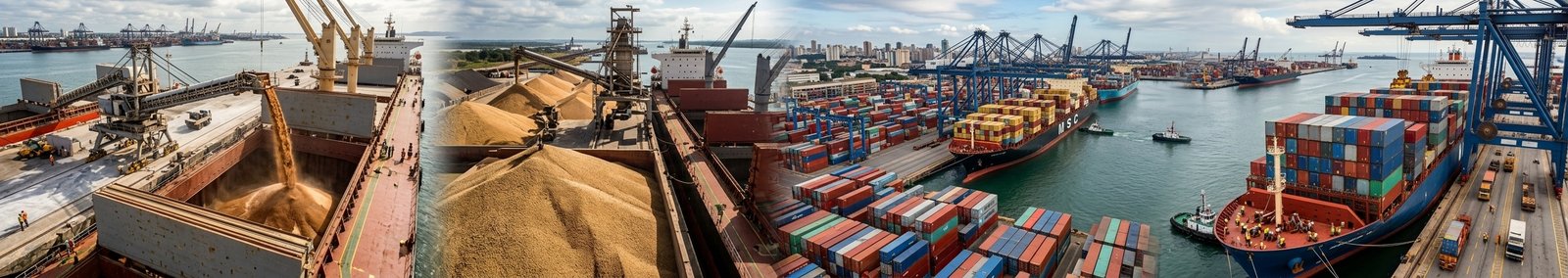 Tateishi - Várias Commodities